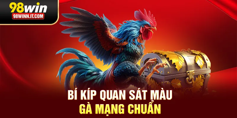 Bí kíp quan sát màu gà mạng chuẩn