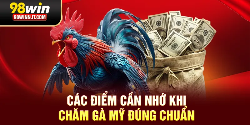 Các điểm cần nhớ khi chăm gà Mỹ đúng chuẩn