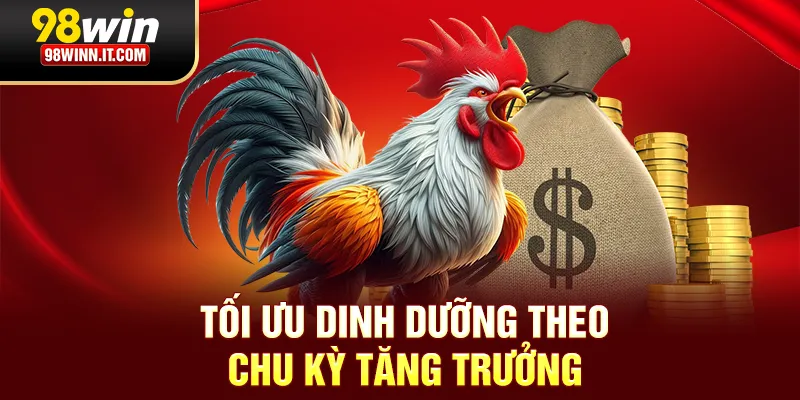 Tối ưu dinh dưỡng theo chu kỳ tăng trưởng